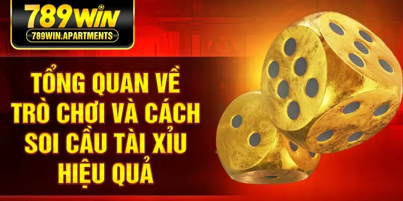 Tổng quan về trò chơi và cách soi cầu tài xỉu hiệu quả