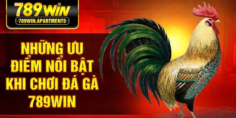 Những ưu điểm nổi bật khi chơi đá gà 789Win