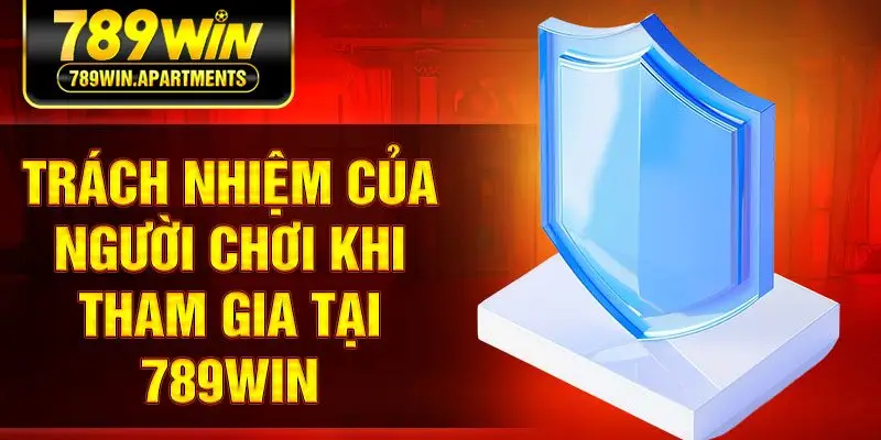 Trách nhiệm của người chơi khi tham gia tại 789win